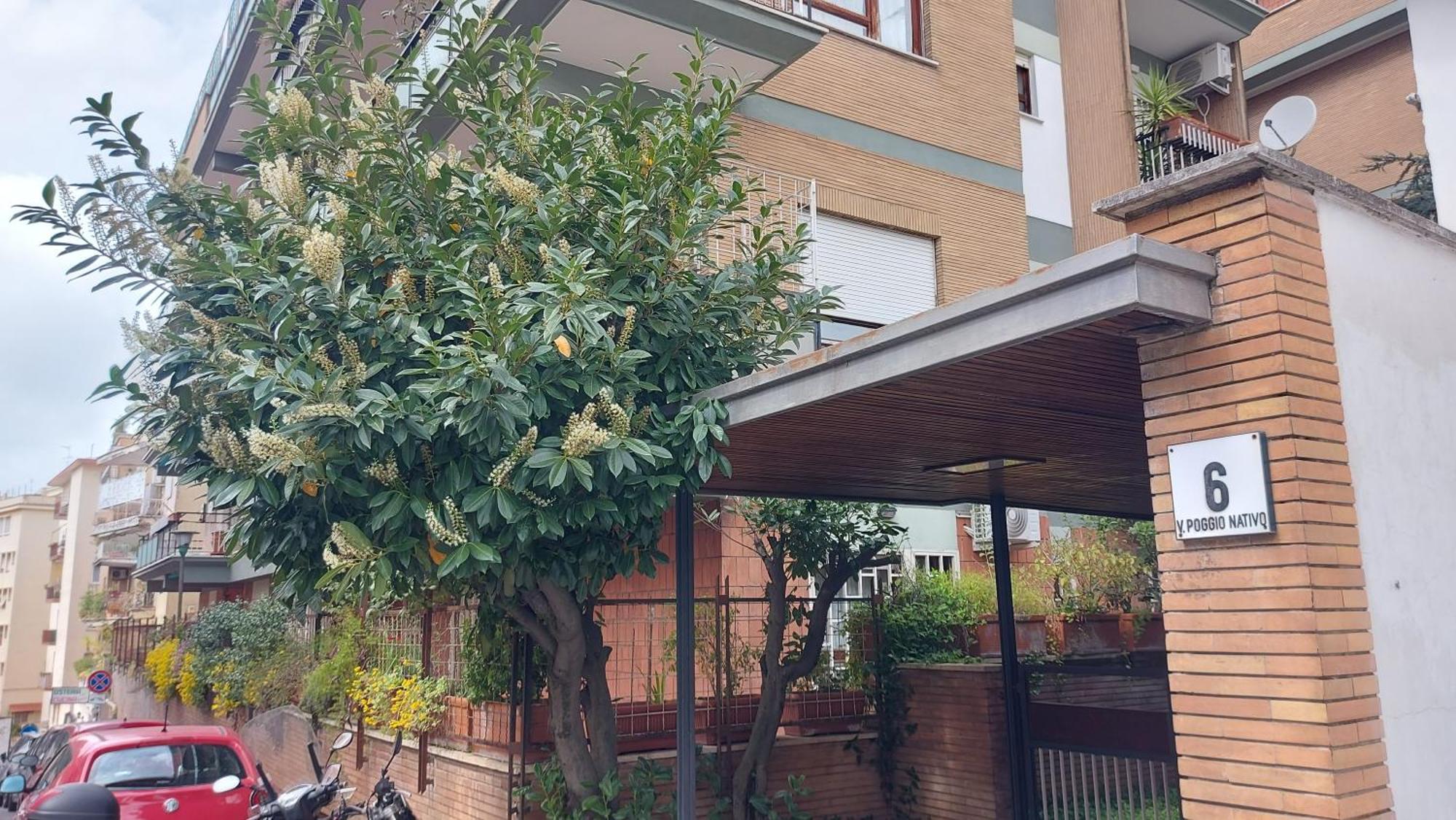 Isabella Appartement